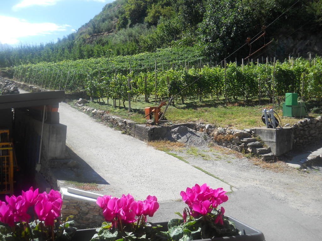 La Vita In Campagna Villa di Tirano Exterior photo