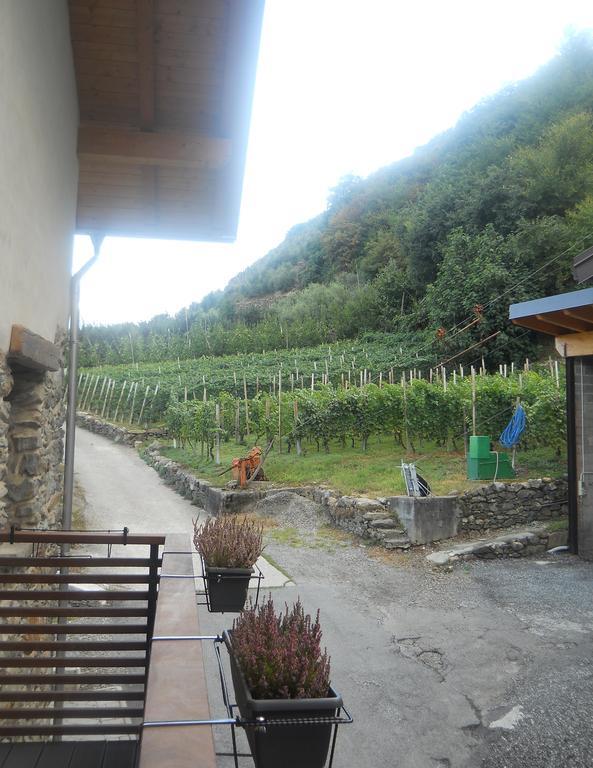 La Vita In Campagna Villa di Tirano Room photo